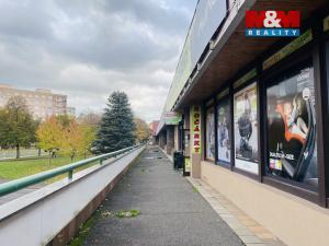 Pronájem obchodního prostoru, Most, Lipová, 1000 m2