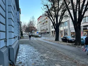 Pronájem bytu 3+kk, Prostějov, Netušilova, 95 m2