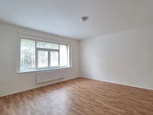 Pronájem bytu 2+1, Praha - Břevnov, Bělohorská, 57 m2