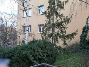 Pronájem bytu 2+1, Praha - Břevnov, Bělohorská, 57 m2