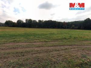 Prodej louky, Petrovice - Žemličkova Lhota, 2513 m2