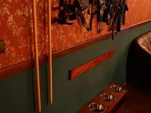 Prodej vícegeneračního domu, Rozdrojovice, Za Humny, 850 m2