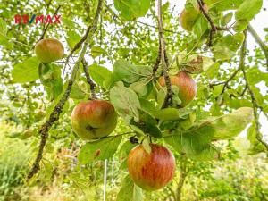 Prodej zahrady, Praha, 489 m2