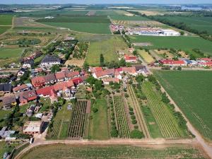 Prodej pozemku pro bydlení, Horní Věstonice, 940 m2