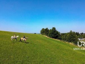 Prodej rodinného domu, Kamenná Horka, 273 m2