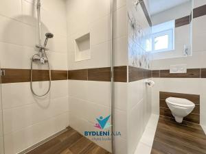 Prodej bytu 1+1, Tisá, 43 m2