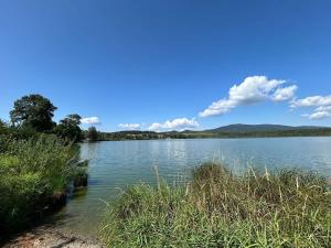 Prodej pozemku pro bydlení, Horní Planá, 4593 m2