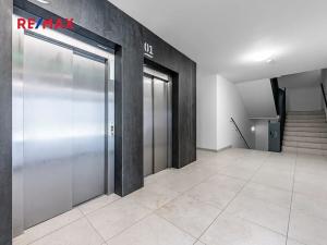 Pronájem bytu 1+kk, Praha - Karlín, Breitfeldova, 42 m2