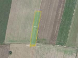 Prodej pole, Městec Králové, 17054 m2