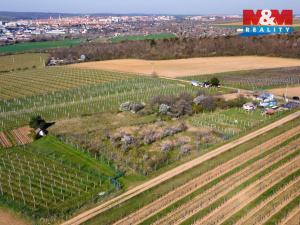 Prodej zahrady, Dobšice, 2462 m2