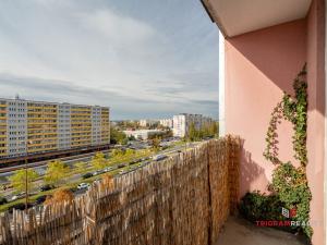 Prodej bytu 3+1, Hradec Králové, 84 m2