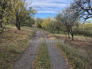 Prodej zahrady, Židlochovice, 1185 m2