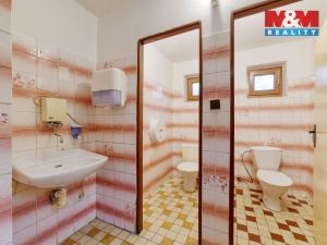 Prodej rodinného domu, Lázně Kynžvart, Vrchlického, 568 m2