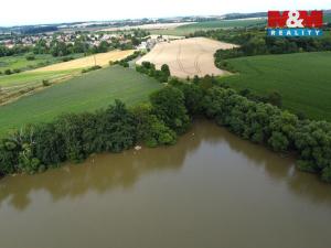 Prodej rybníku, Český Brod - Liblice, 6053 m2