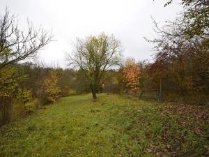 Prodej zahrady, Hostěrádky-Rešov, 705 m2