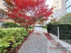 Prodej bytu 1+kk, Praha - Vinohrady, U Zvonařky, 40 m2