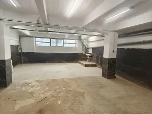 Pronájem výrobních prostor, Židlochovice, Nádražní, 67 m2