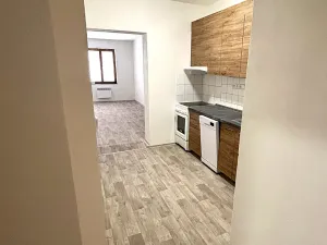 Prodej vícegeneračního domu, Písek, V Koutě, 786 m2