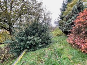 Prodej rodinného domu, Malá Skála, 37 m2