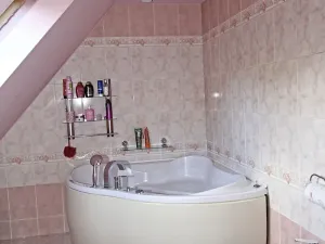 Prodej rodinného domu, Ústí nad Labem, Průchodní, 281 m2