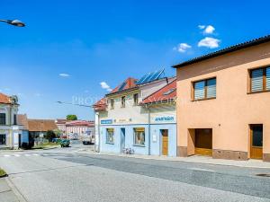 Prodej ubytování, Batelov, Třešťská, 490 m2