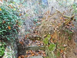 Prodej chaty, Kaliště, 30 m2