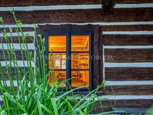 Prodej činžovního domu, Dalečín, 536 m2