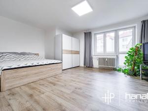 Pronájem bytu 1+1, Prostějov, Českobratrská, 45 m2