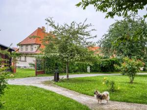 Prodej činžovního domu, Český Krumlov, Horská, 469 m2