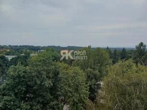 Prodej bytu 1+1, Orlová, Kpt. Jaroše, 38 m2