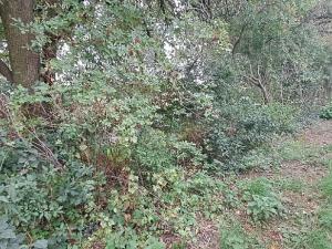 Prodej komerčního pozemku, Měšice, 2035 m2