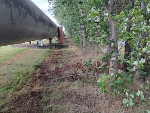 Prodej komerčního pozemku, Měšice, 2035 m2