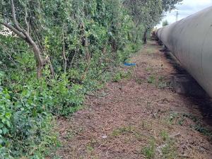 Prodej komerčního pozemku, Měšice, 2035 m2