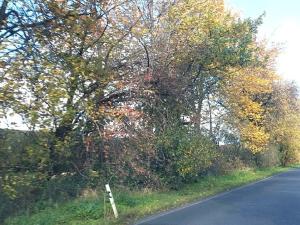 Prodej komerčního pozemku, Měšice, 2035 m2