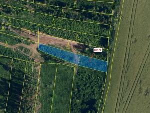 Dražba lesa, Moravské Budějovice, 834 m2