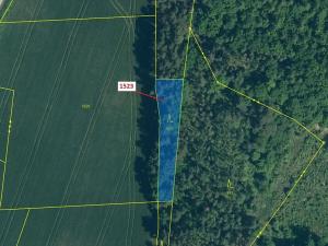 Dražba lesa, Hradiště, 645 m2