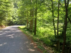 Dražba pozemku, Jestřebí, 13769 m2