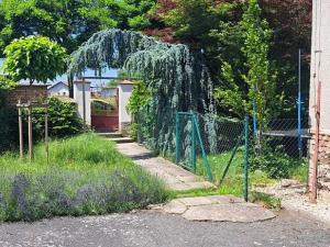 Pronájem kanceláře, Říčany, 17. listopadu, 165 m2