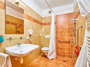 Prodej ubytování, Český Krumlov, Rooseveltova, 270 m2