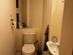 Pronájem bytu 3+1, Praha - Vinohrady, Řipská, 105 m2