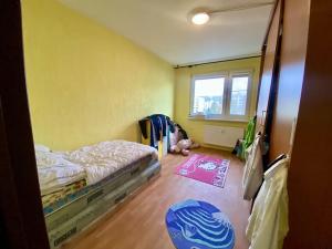 Prodej bytu 2+1, Liberec, Aloisina výšina, 55 m2