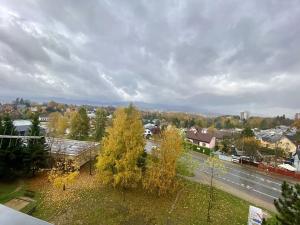 Prodej bytu 2+1, Liberec, Aloisina výšina, 55 m2