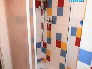 Pronájem bytu 1+kk, Plzeň - Jižní Předměstí, Čelakovského, 28 m2