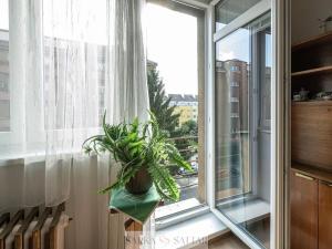 Pronájem bytu 3+1, Praha - Vršovice, Novorossijská, 71 m2