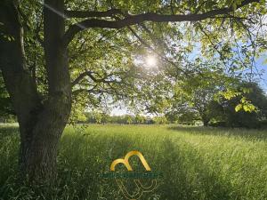 Prodej rodinného domu, Doubravička, 195 m2