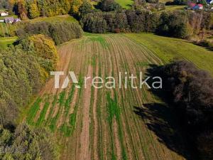 Prodej pole, Dětmarovice, 53698 m2