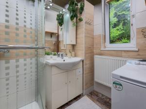 Prodej rodinného domu, Loučovice, 361 m2