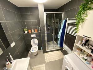 Pronájem bytu 1+kk, Slavkov u Brna, Zelnice II., 39 m2