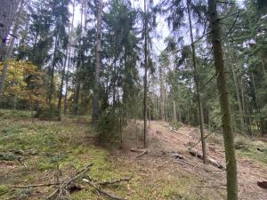Prodej lesa, Srbice - Těšovice, 3279 m2