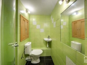 Pronájem bytu 1+kk, České Budějovice, Fr. Ondříčka, 23 m2